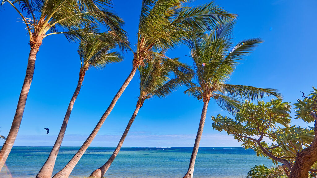Riu Turquoise