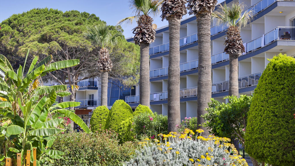 Royal Beach Club
