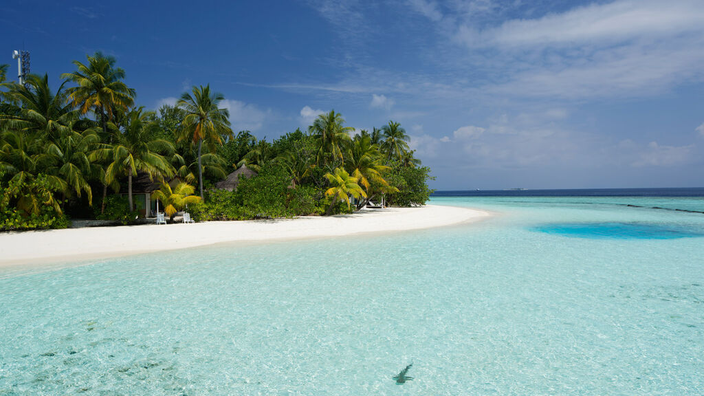 Safari Island Resort & Spa