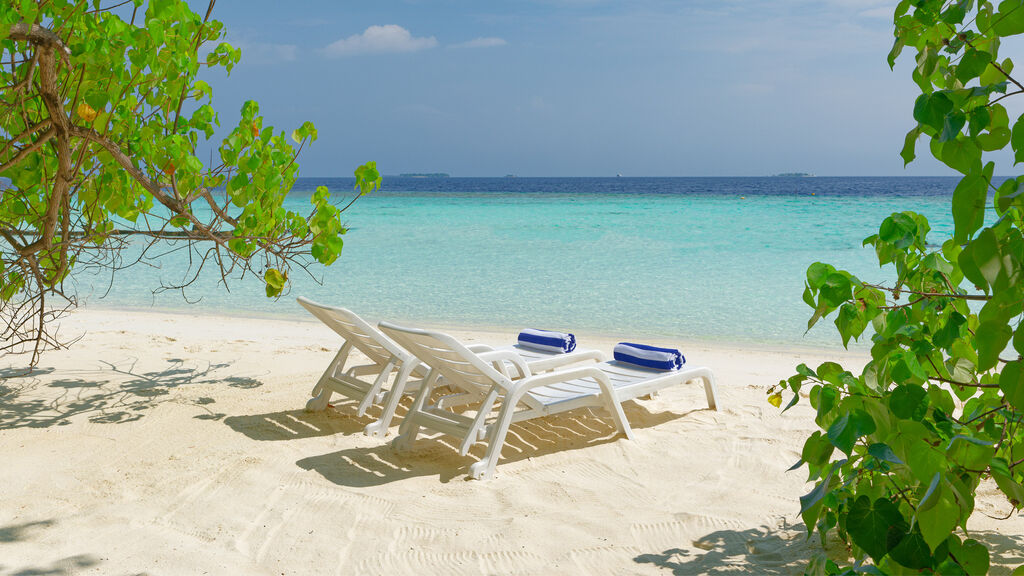 Safari Island Resort & Spa
