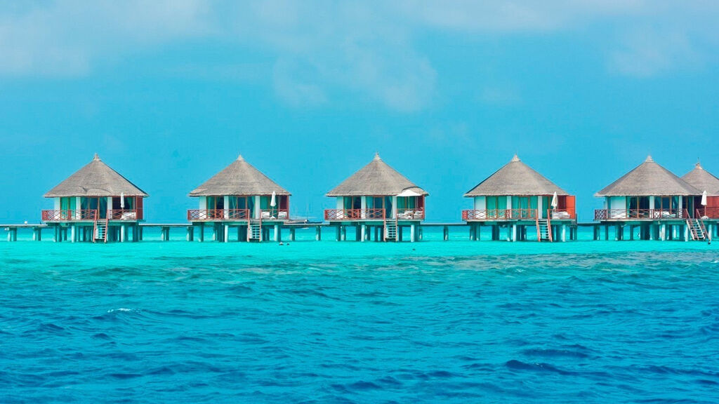 Safari Island Resort