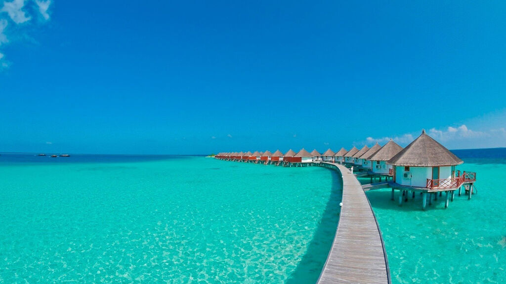 Safari Island Resort