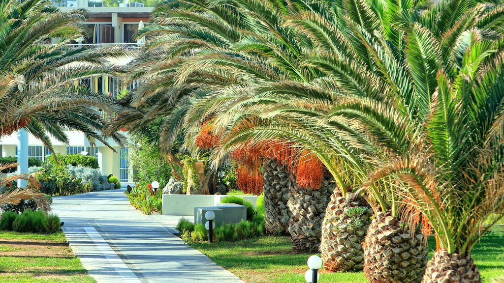 Santa Marina Beach Amoudara