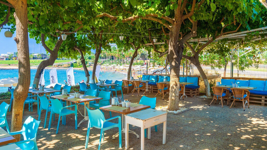 SENTIDO Numa Bay