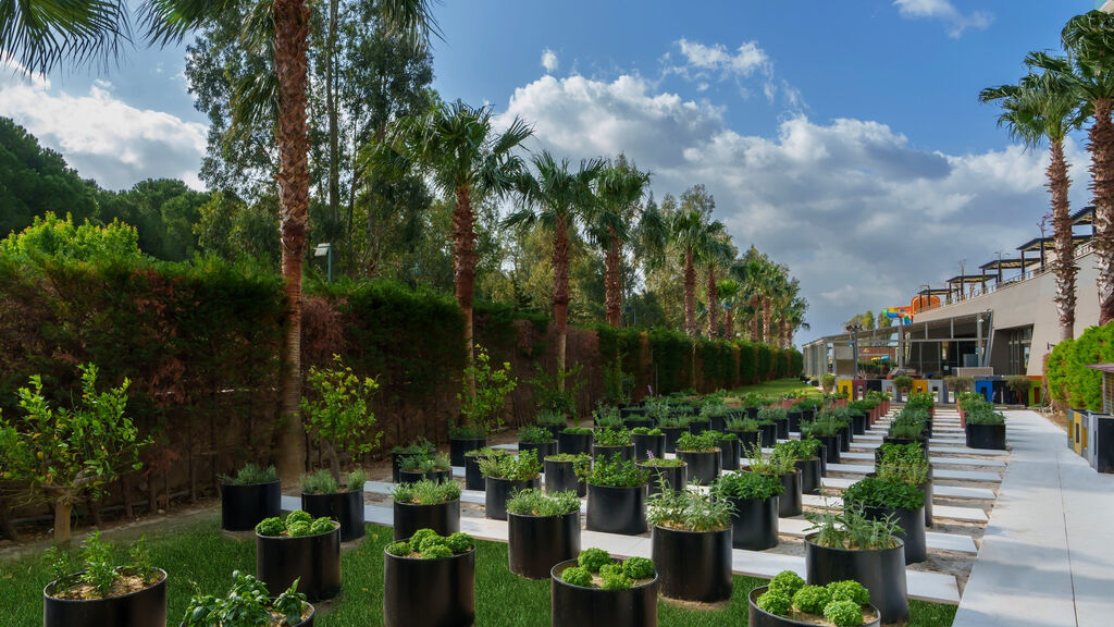 Seven Seas Sealight Elite