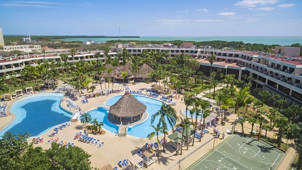 Sol Palmeras