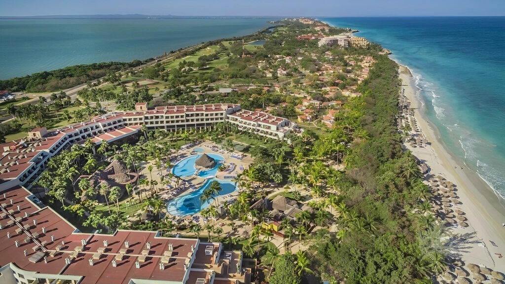 Sol Palmeras