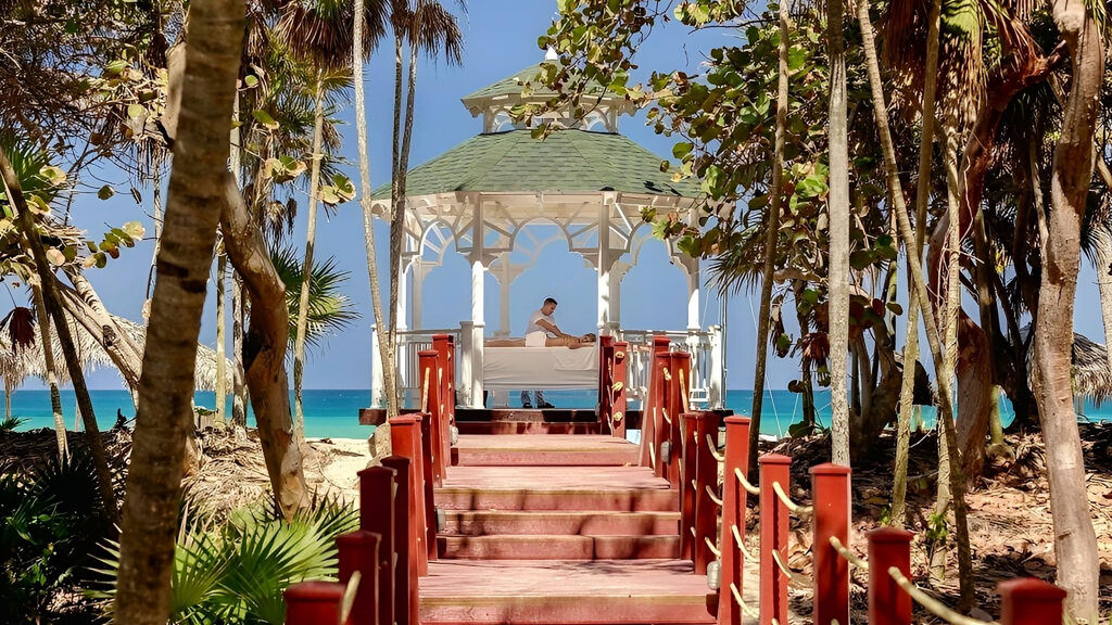 Sol Palmeras