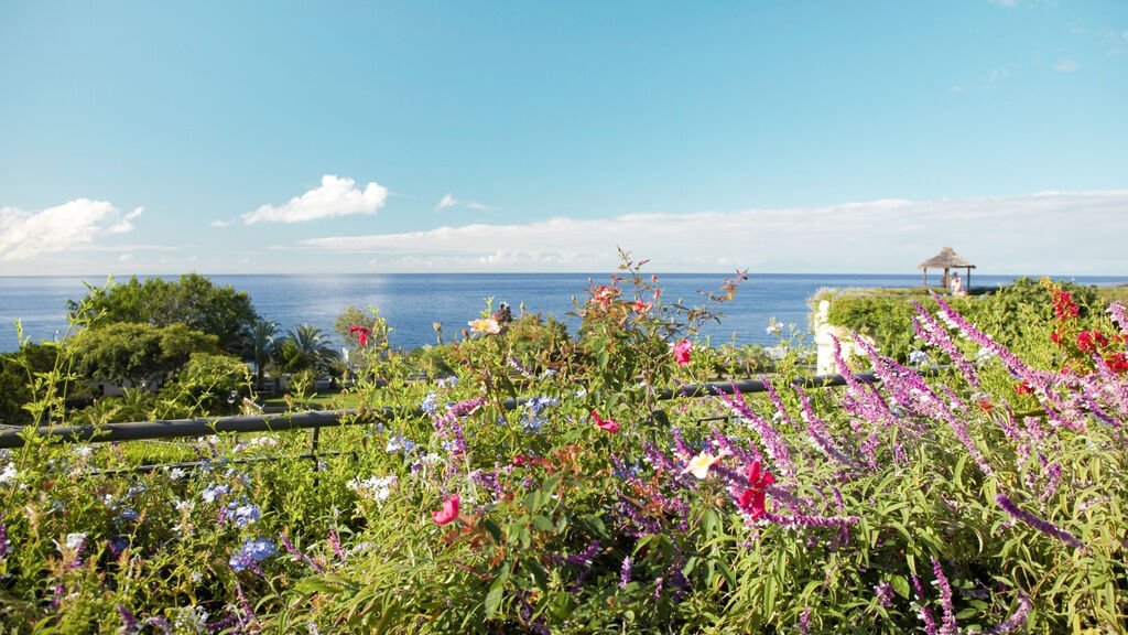 Suite Hotel Eden Mar