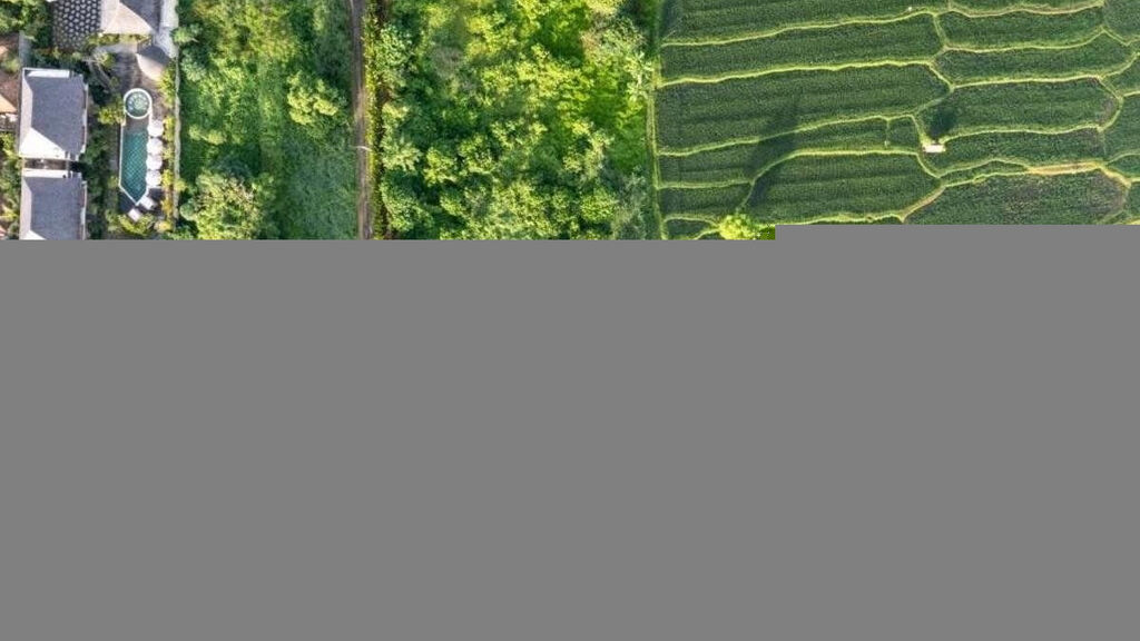 The Alena Resort by Pramana