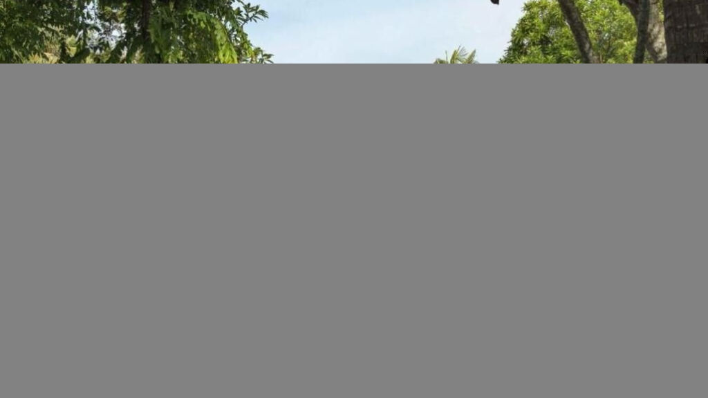 The Anvaya Beach Resorts Bali