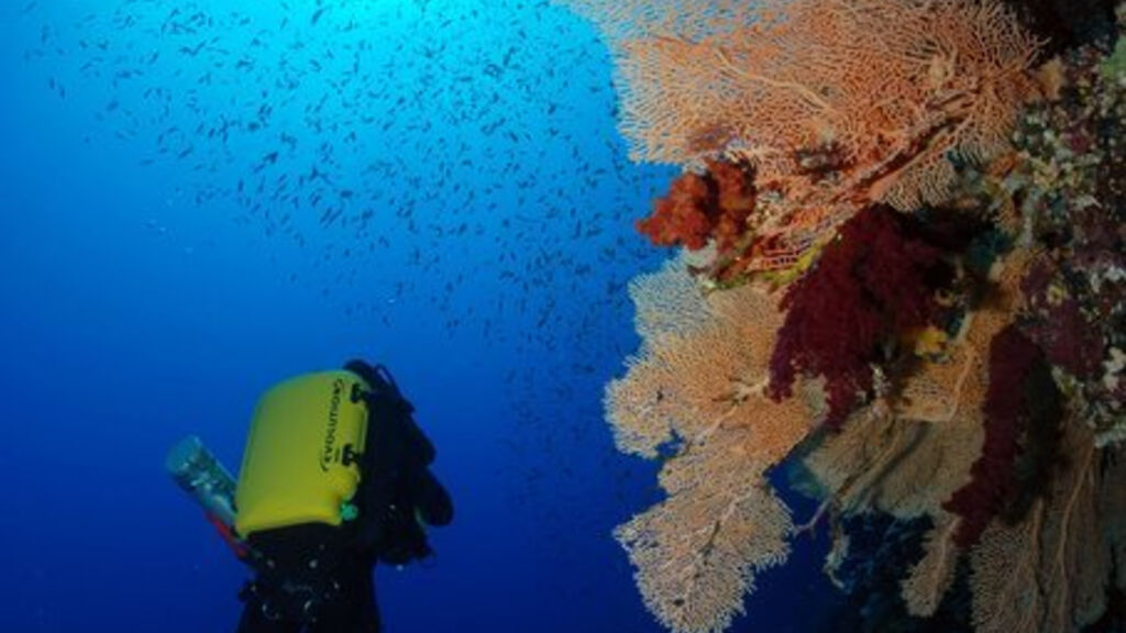 The Breakers Diving