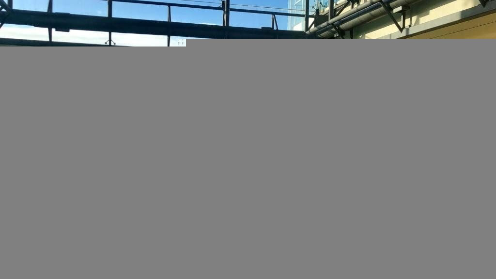 The Lince Azores Great