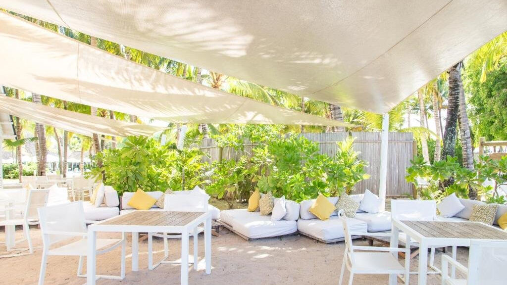 The Ravenala Attitude