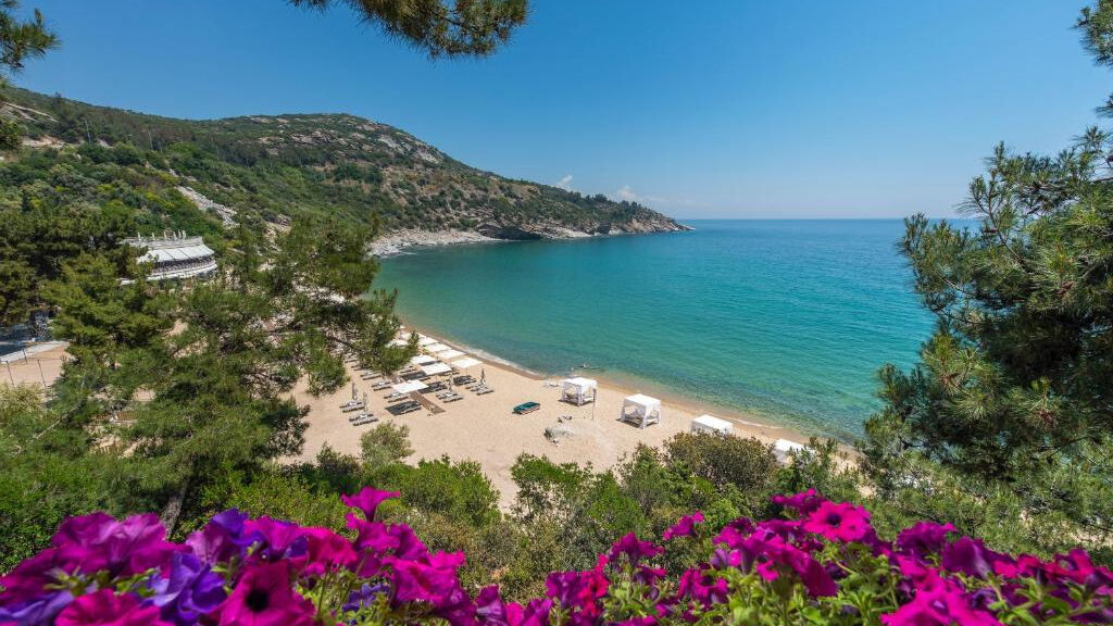 Tosca Beach