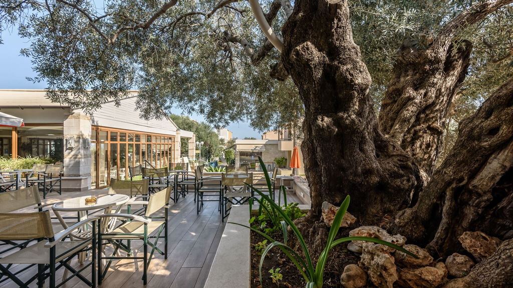 Tui Suneo Althea Village