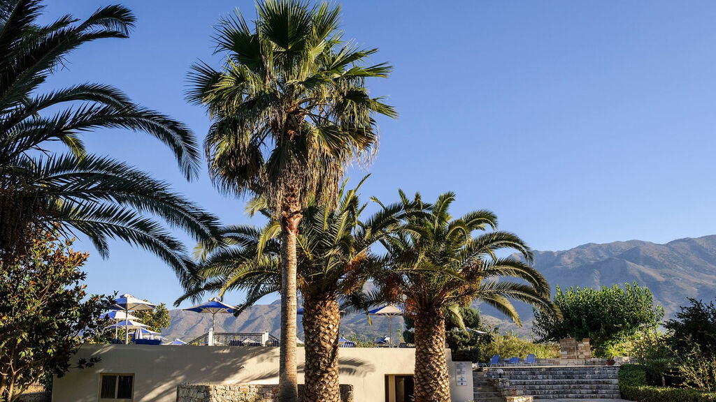 Vantaris Garden & Corner