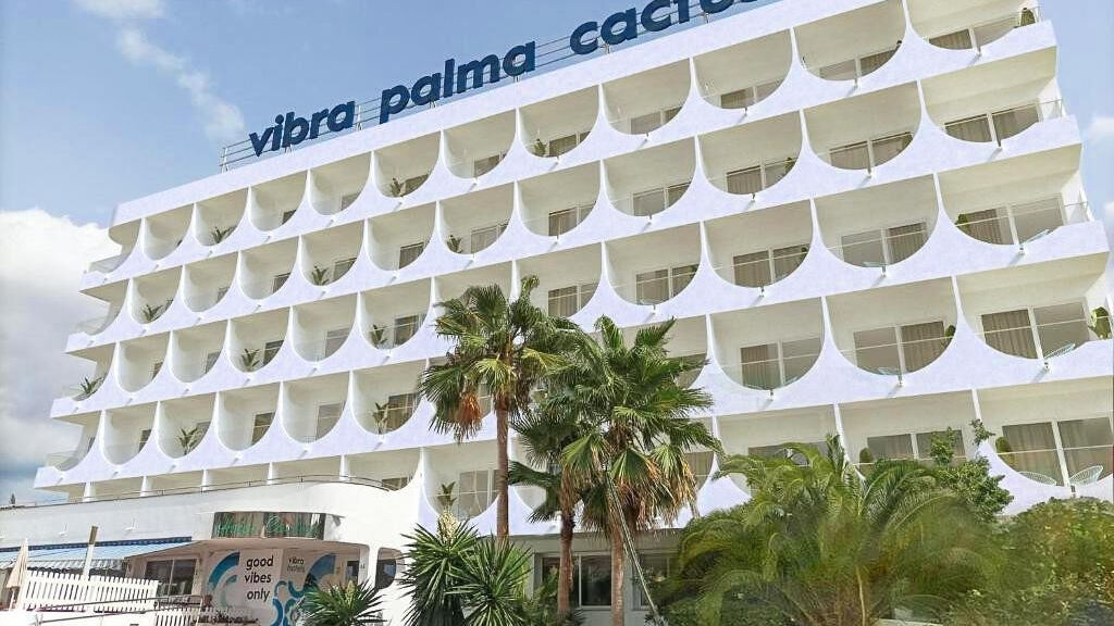 Vibra Palma Cactus