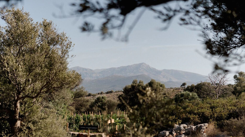 Village Heights Resort