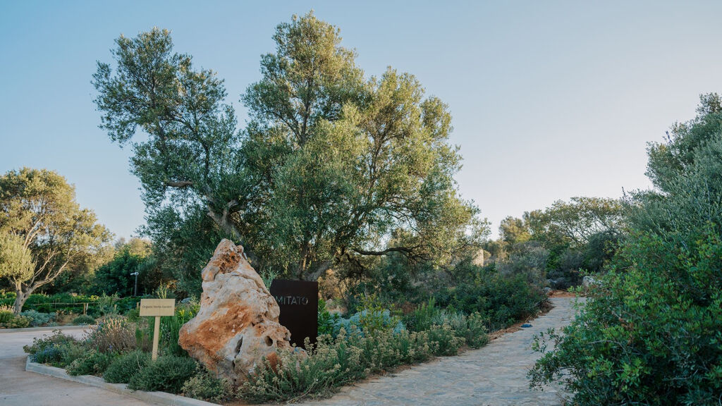 Village Heights Resort