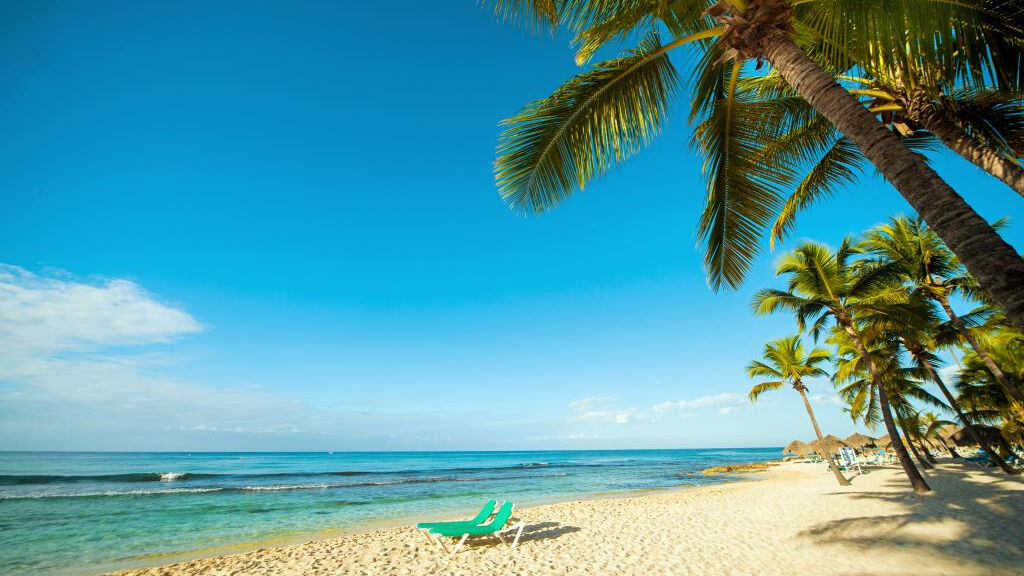 Viva Dominicus Beach