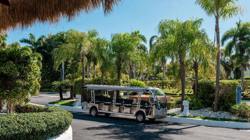 Zel Punta Cana
