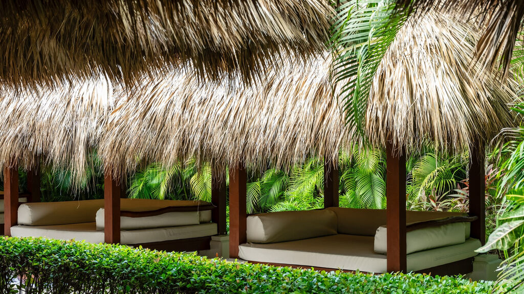 Zel Punta Cana