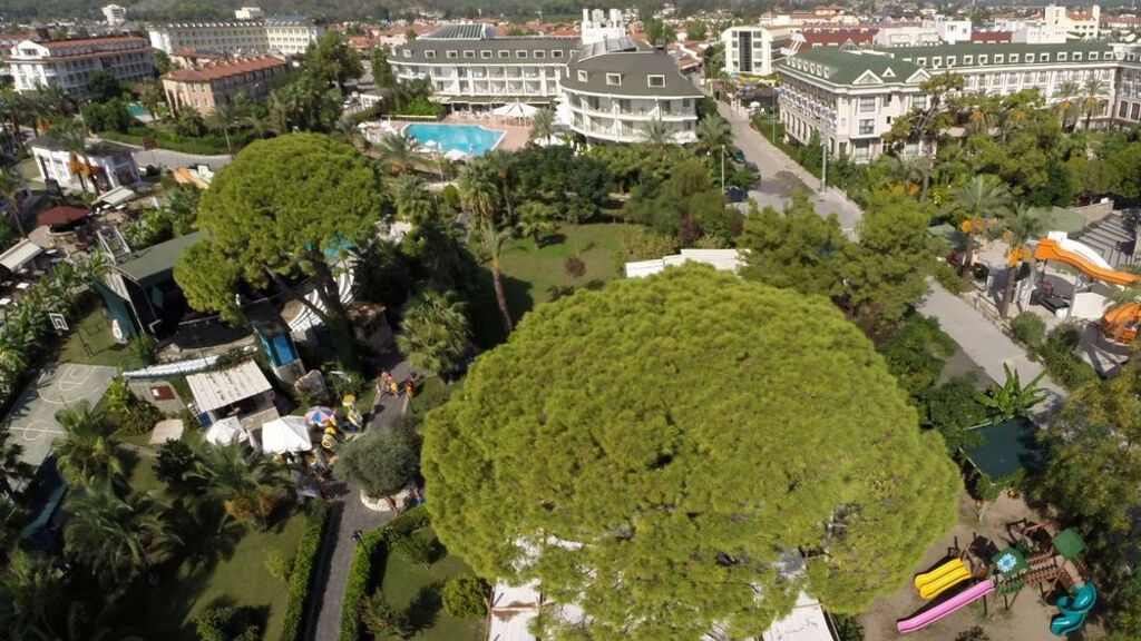 Zena Resort