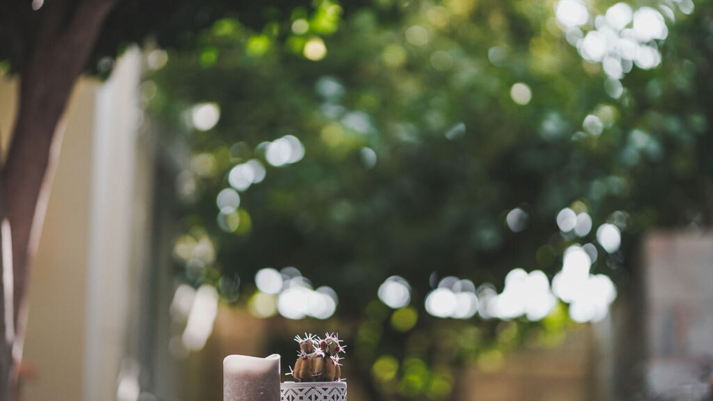 Zeus Village Adults Only