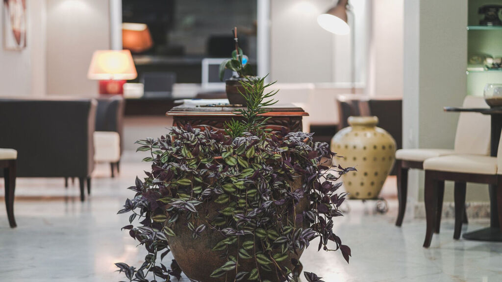 Zeus Village Adults Only