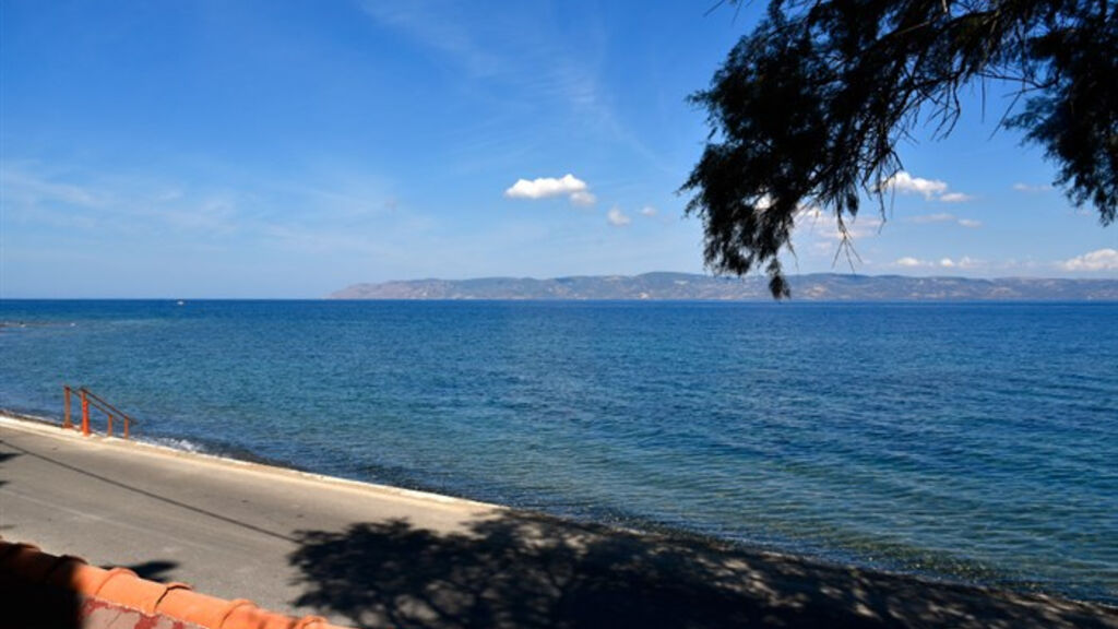 Apartmánový Dům Lela Kaptani Eftalou Olive Grove
