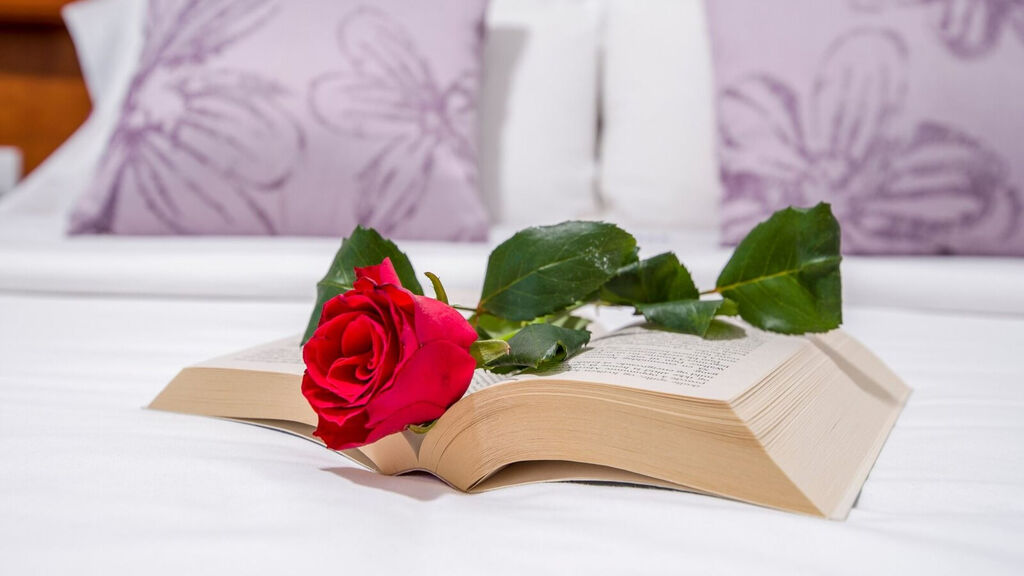 Folia Studios Apartemtns