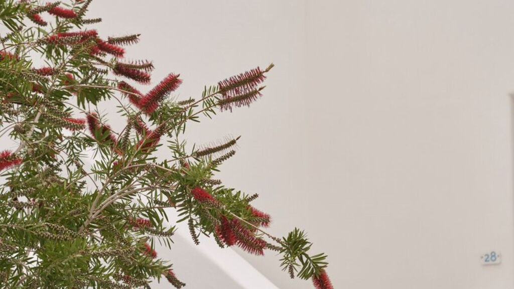 Makris Hotel Apartments