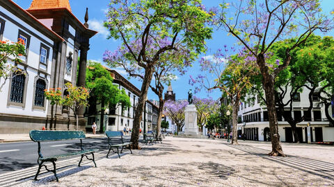 Náhled objektu Alojamento Central Ii, Funchal, ostrov Madeira, Portugalsko