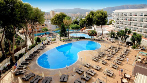 Náhled objektu AluaSun Torrenova, Magaluf, Mallorca, Mallorca, Ibiza, Menorca