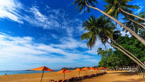 Náhled objektu Calamander Unawatuna Beach, Unawatuna, Srí Lanka, Asie