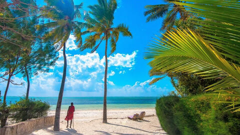 Náhled objektu Indigo Beach Zanzibar, Bwejuu, Zanzibar, Afrika