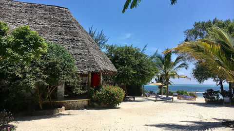 Náhled objektu Marafiki Bungalows, Kiwengwa, Zanzibar, Afrika