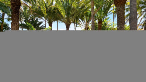 Náhled objektu Parque Tropical, Playa del Inglés, Gran Canaria, Kanárské ostrovy