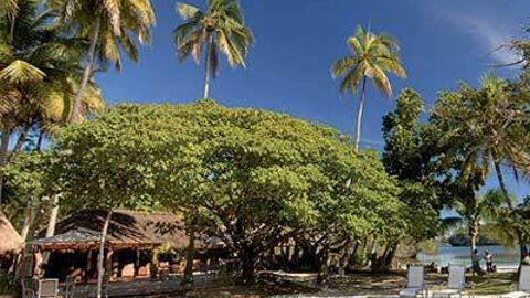 Náhled objektu Tera Oure, Isle Of Pines, Nová Kaledonie, Austrálie, Tichomoří