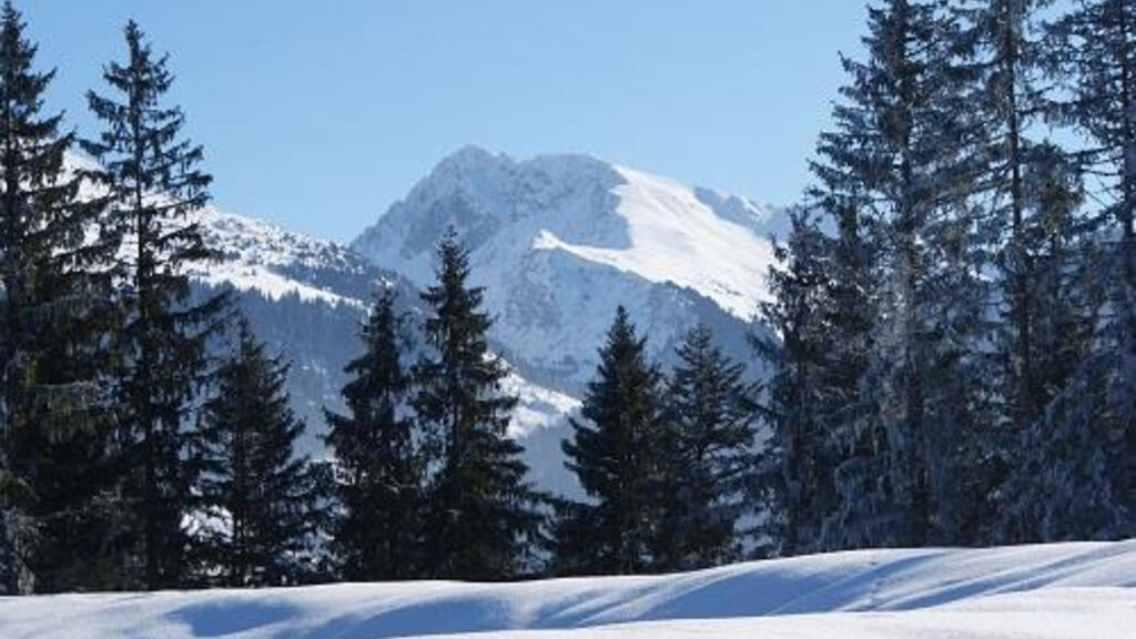 Alpenhof