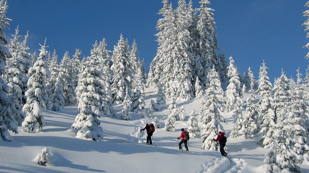 Alpin Resort Erzberg