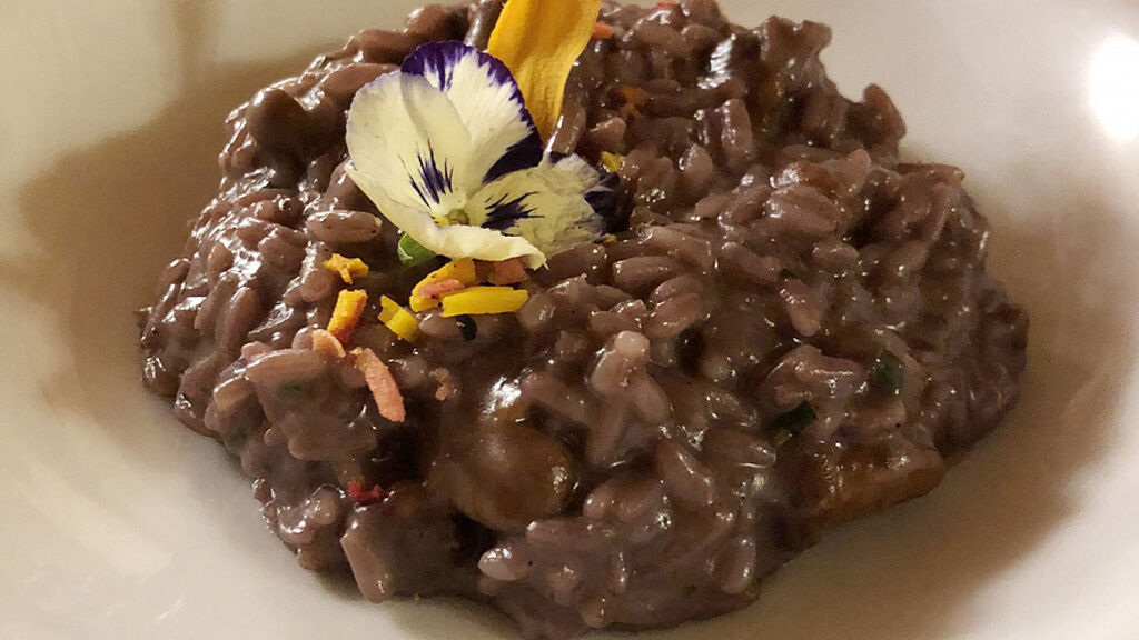 Alpine Hotel Touring