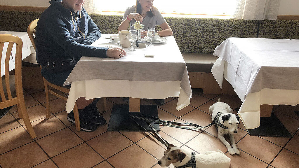 Alpine Hotel Touring