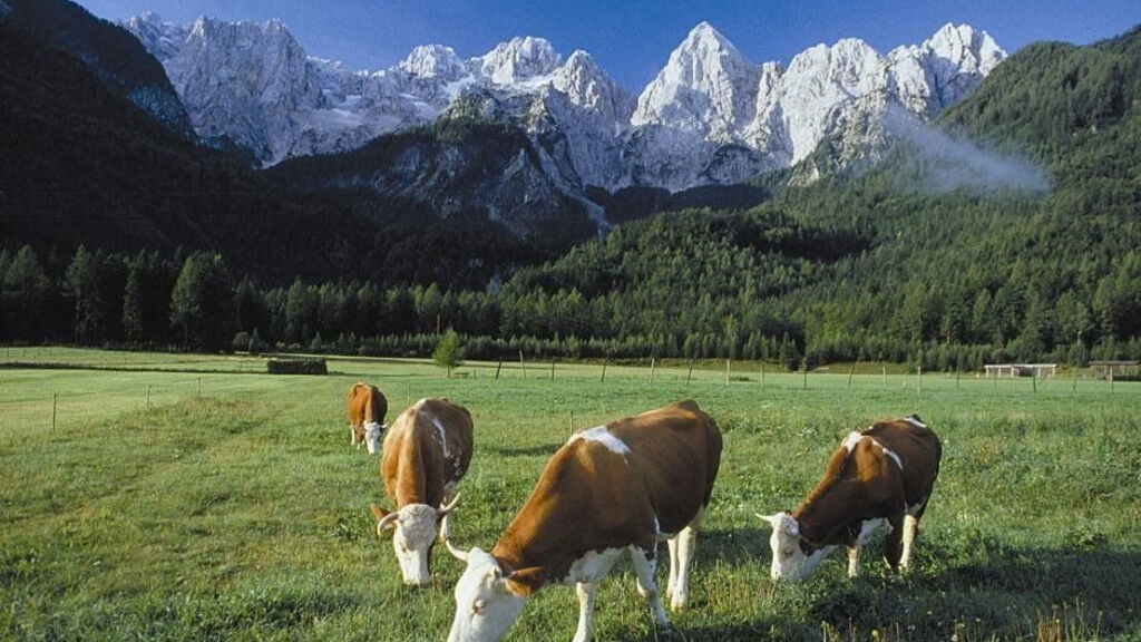 Alpski Resort Špik