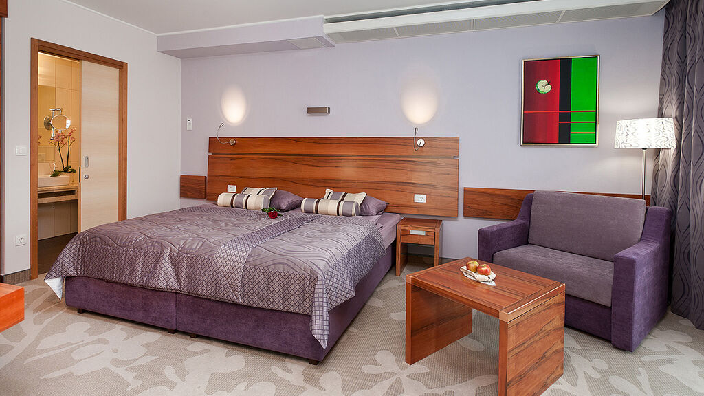 Hotel Atrij - se skipasem