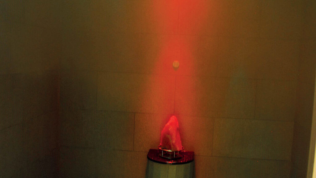 Alpenhotel Badmeister se skipasem