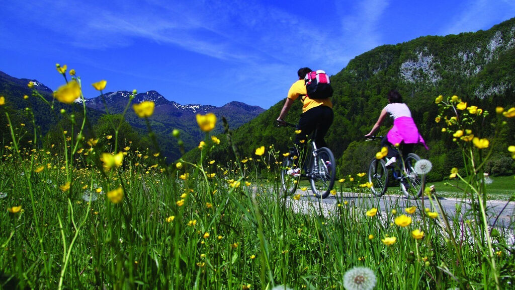 Bohinj