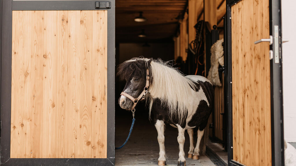 Gut Berg Naturhotel S