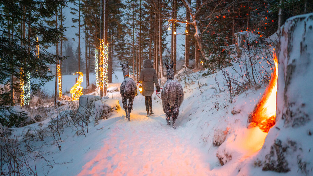 Hotely Mallnitz SKI OPENING Advent